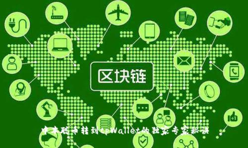 中本聪币转到tpWallet的独家专家秘诀