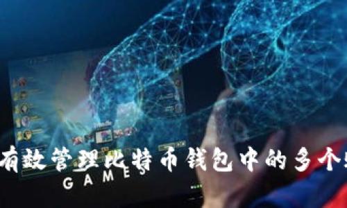 如何有效管理比特币钱包中的多个账户？